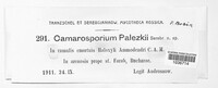 Camarosporium palezkii image